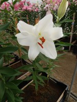 [3513 PO29 Monroe No101.JPG]